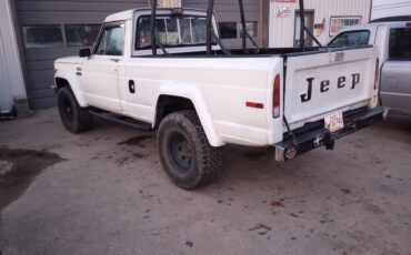 Jeep-j10-lardedo-1983-white-9