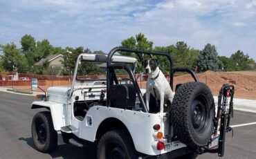 Jeep-j53-diesel-1989-white-2