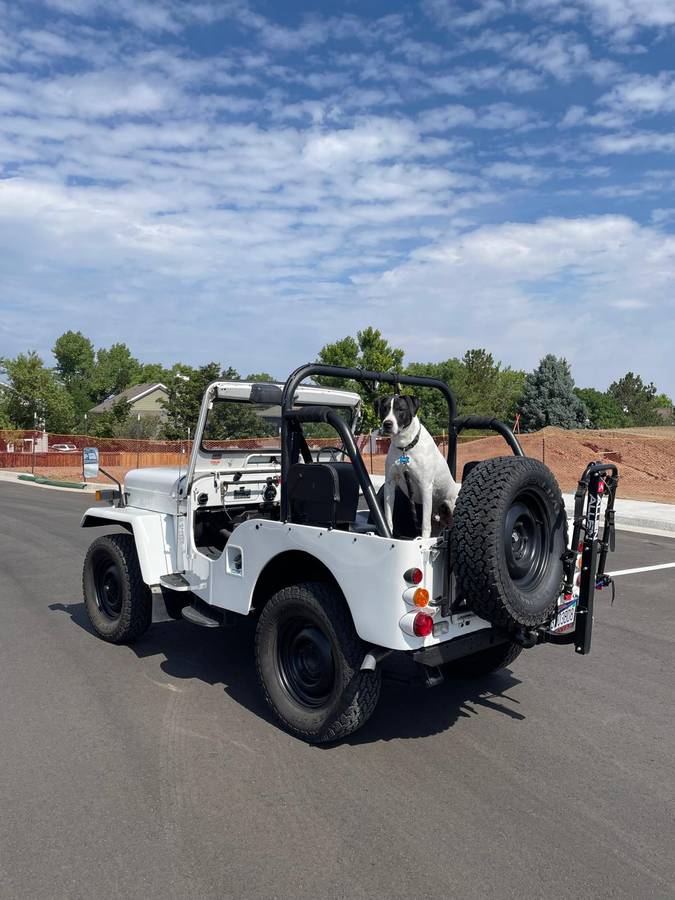 Jeep-j53-diesel-1989-white-2