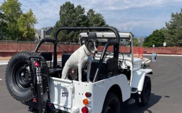 Jeep-j53-diesel-1989-white-3