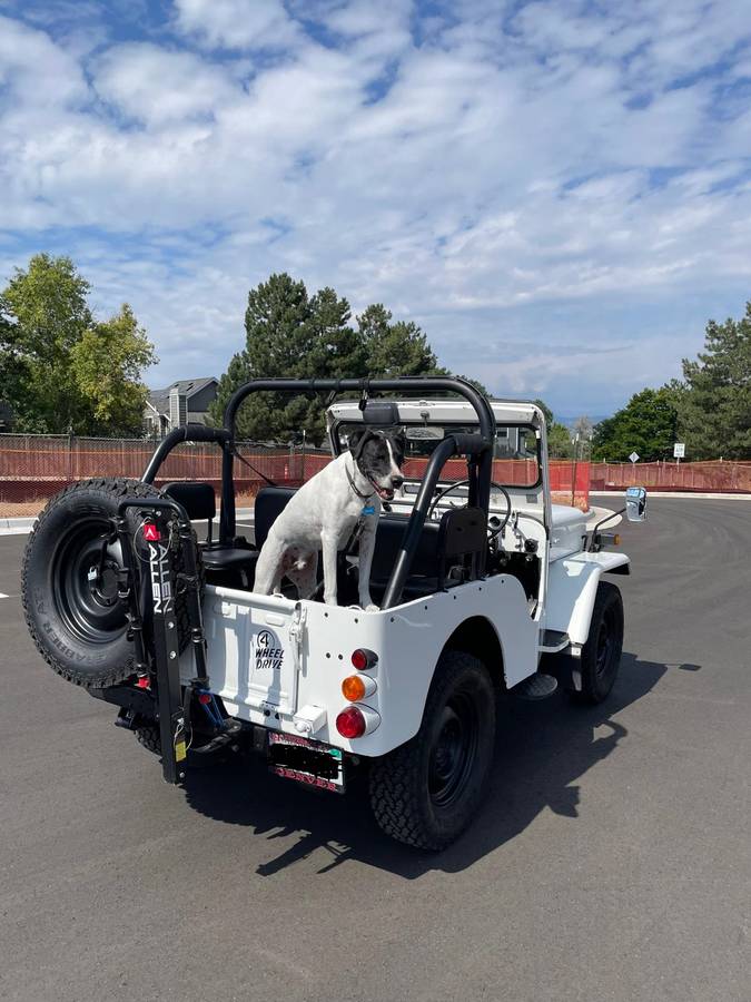 Jeep-j53-diesel-1989-white-3