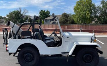 Jeep-j53-diesel-1989-white-5