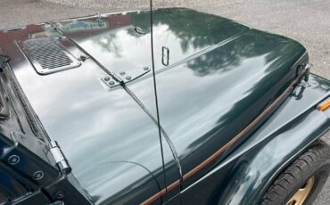 Jeep-wrangler-1994-green-9