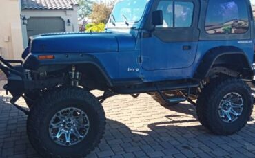 Jeep-wrangler-1995-3