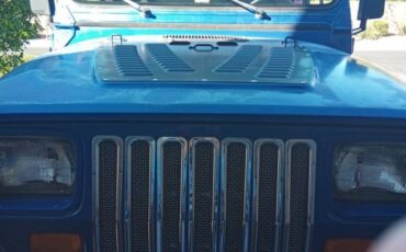 Jeep-wrangler-1995-8