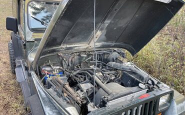 Jeep-wrangler-1995-green-16