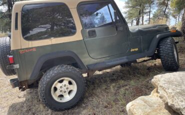 Jeep-wrangler-1995-green-18