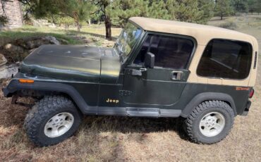 Jeep-wrangler-1995-green-4
