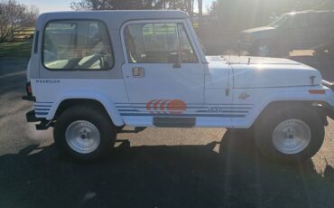 Jeep-wrangler-islander-1989-5
