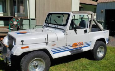 Jeep-wrangler-islander-1989-8