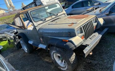 Jeep-wrangler-sahara-1992-green-2