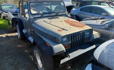 Jeep-wrangler-sahara-1992-green-3