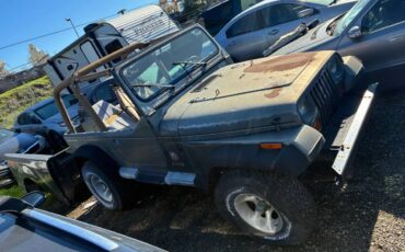 Jeep-wrangler-sahara-1992-green