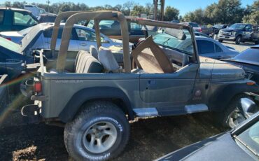 Jeep-wrangler-sahara-1992-green-5
