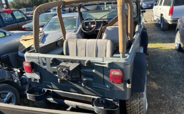 Jeep-wrangler-sahara-1992-green-6