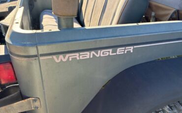 Jeep-wrangler-sahara-1992-green-8