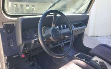 Jeep-wrangler-sahara-1993-grey-10