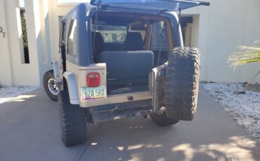 Jeep-wrangler-sahara-1993-grey-22