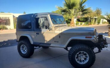 Jeep-wrangler-sahara-1993-grey
