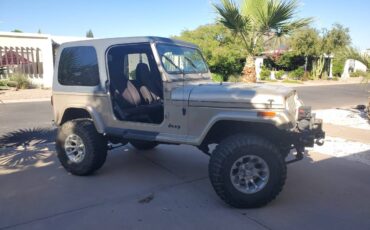 Jeep-wrangler-sahara-1993-grey-4