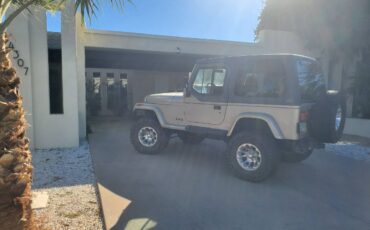 Jeep-wrangler-sahara-1993-grey-8