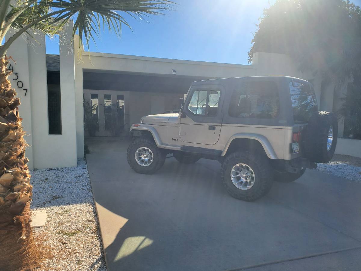 Jeep-wrangler-sahara-1993-grey-8