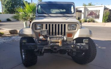 Jeep-wrangler-sahara-1993-grey-9