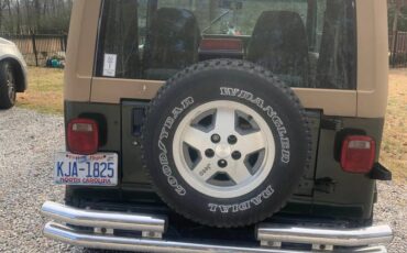 Jeep-wrangler-sahara-1995-green-6