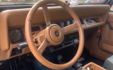 Jeep-wrangler-sahara-1995-green-7