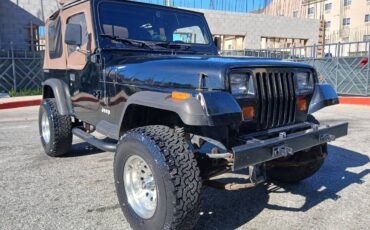 Jeep-wrangler-sport-1990-black-5