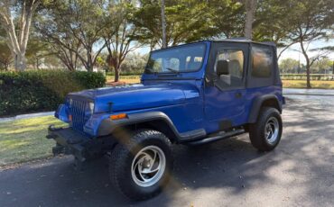 Jeep-wrangler-unlimited-sahara-1995-blue-15