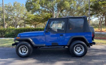 Jeep-wrangler-unlimited-sahara-1995-blue-16
