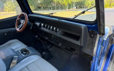 Jeep-wrangler-unlimited-sahara-1995-blue-20