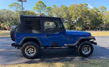 Jeep-wrangler-unlimited-sahara-1995-blue-6