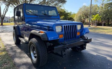 Jeep-wrangler-unlimited-sahara-1995-blue-7