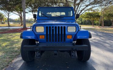 Jeep-wrangler-unlimited-sahara-1995-blue-8