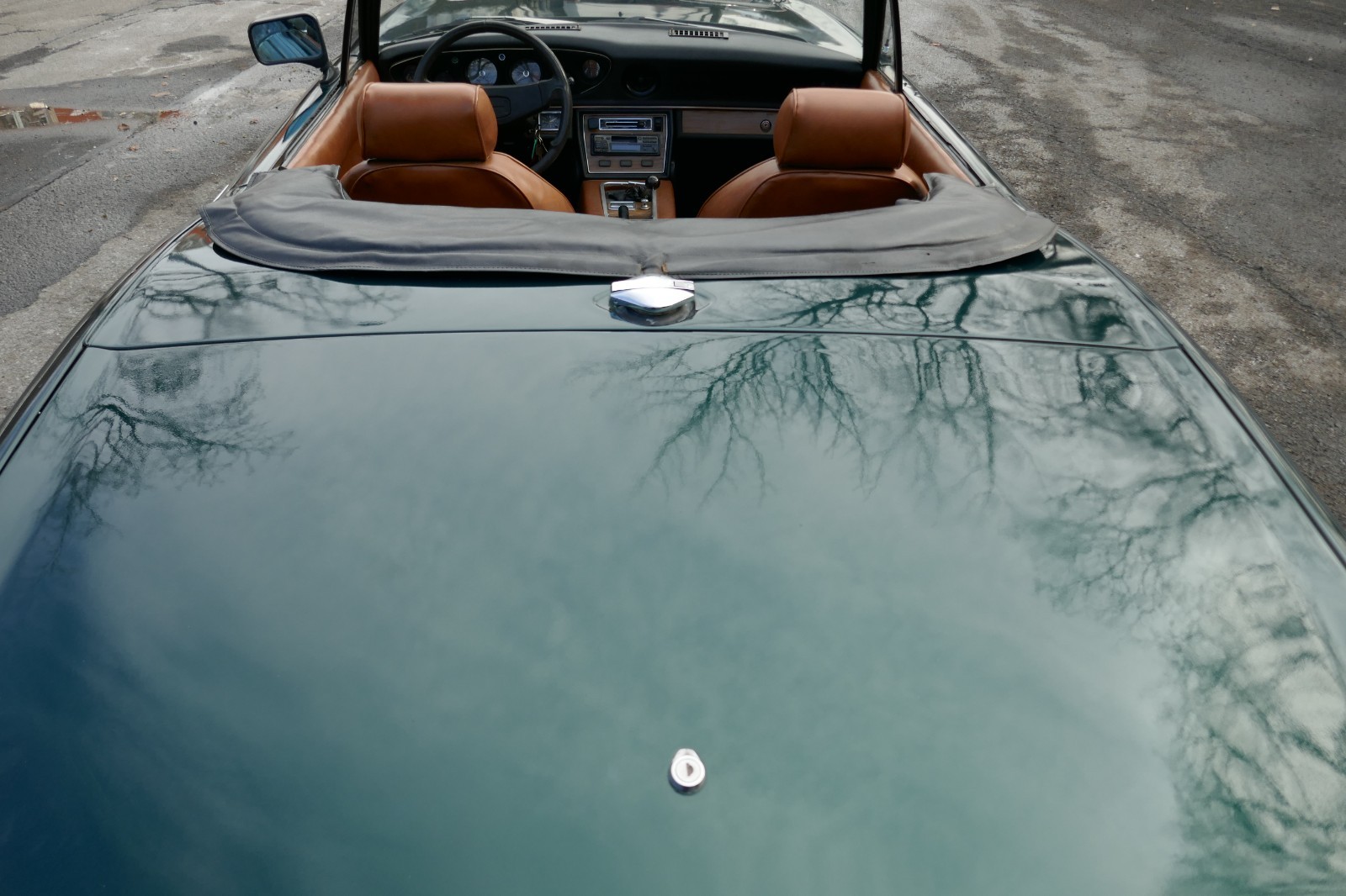 Jensen-Healey-1973-Convertible-10