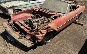 Jensen-healey-1974-2