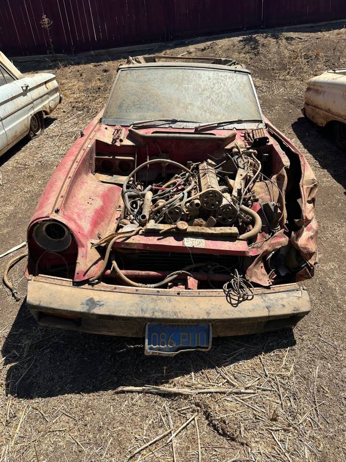 Jensen-healey-1974-3