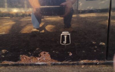 Jensen healy ii 1974