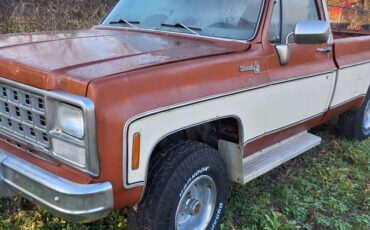 K1400-4x4-1980-brown