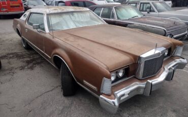 Lincoln-1973-brown-1