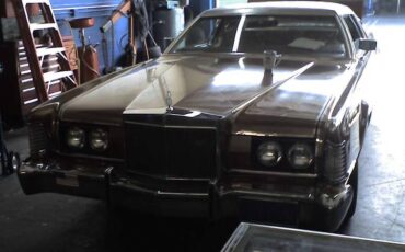 Lincoln-1973-brown-4