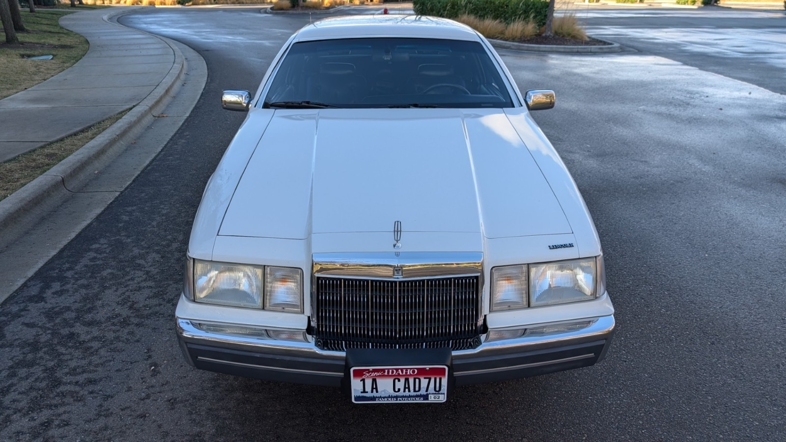 Lincoln-Mark-VII-1990-COUPE-15