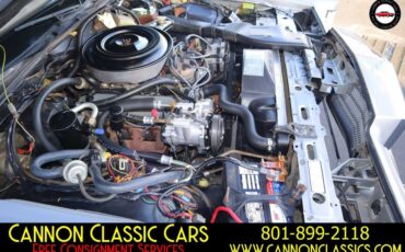 Lincoln-Town-Car-1984-Sedan-16