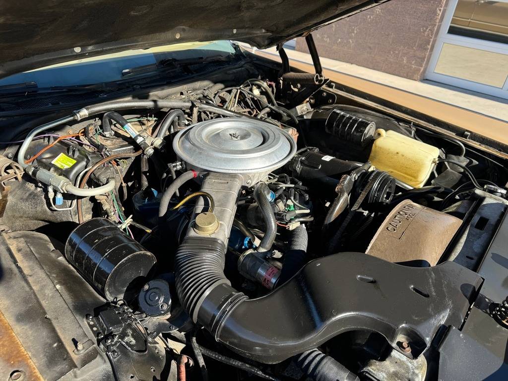 Lincoln-continental-1979-yellow-260