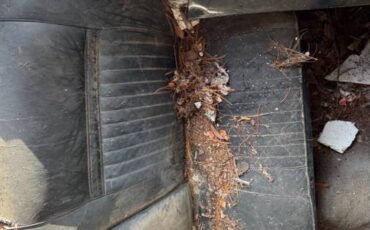 Lincoln-continental-convertible-1967-10