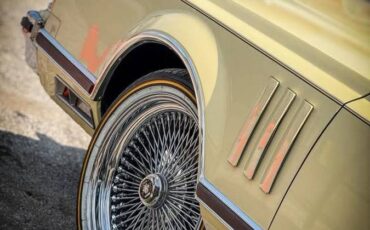 Lincoln-continental-mark-v-1978-17