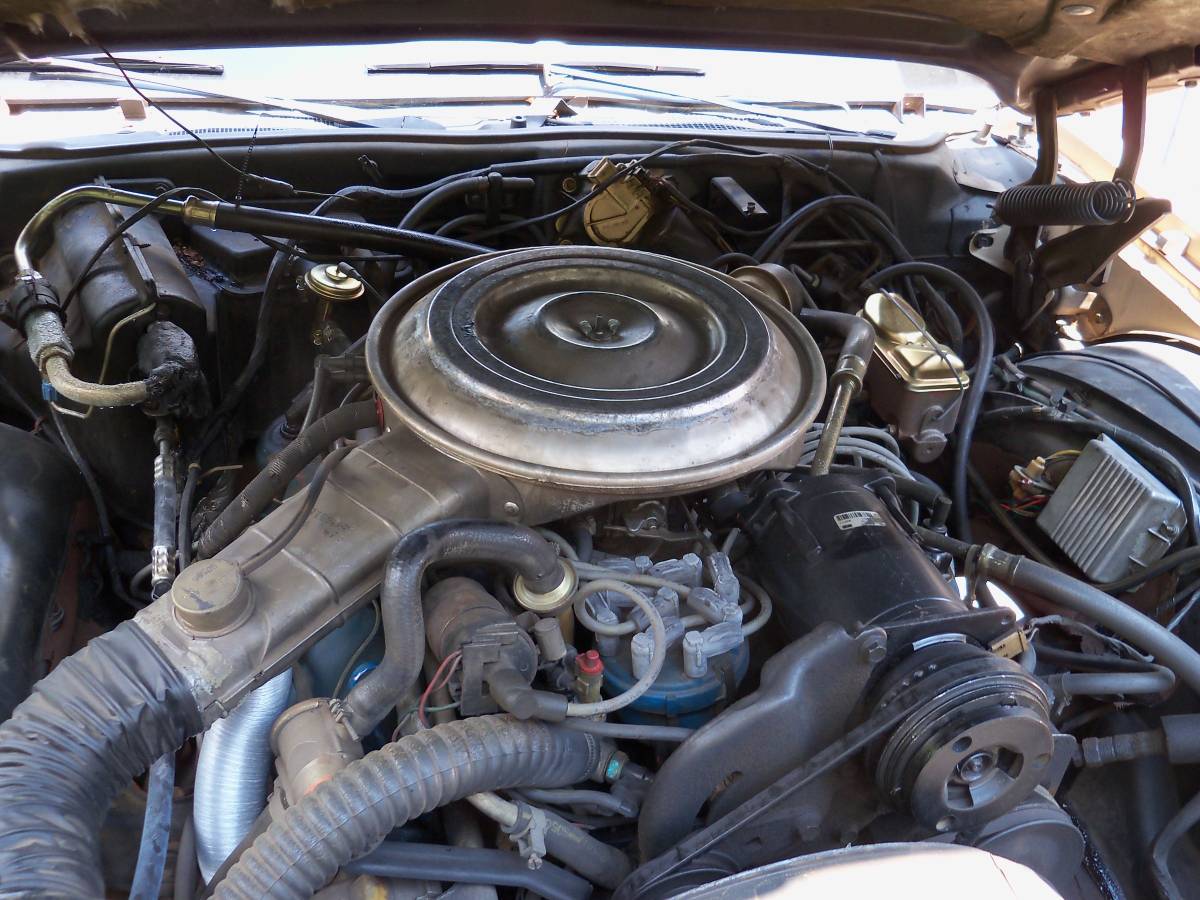 Lincoln-continental-mark-v-1979-brown-5