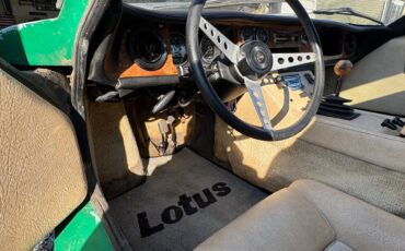Lotus-1974-green-11